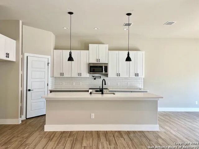 101 Joseph Lilley Blanco, TX 78606