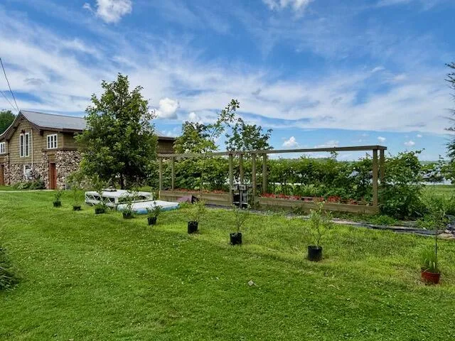 20214 Detente Road White Pigeon Township, MI 49099