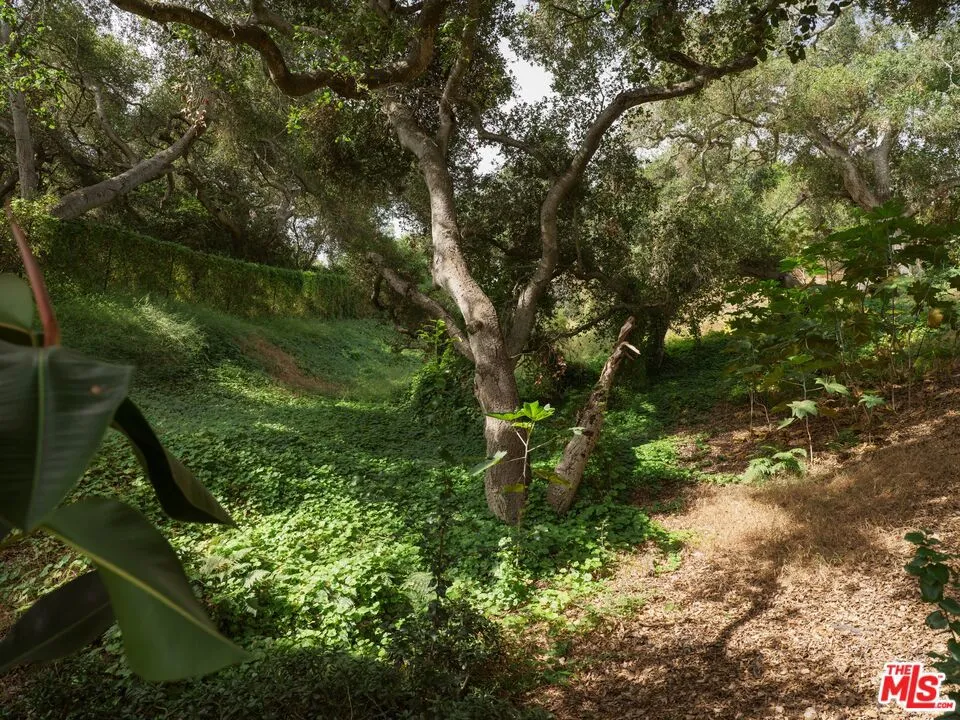 1102 Plaza Del Monte Santa Barbara, CA 93101