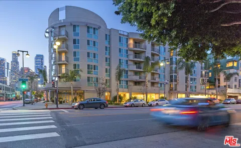 267 S San Pedro Street #213