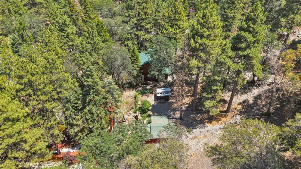 5410 Acorn Drive Wrightwood, CA 92397