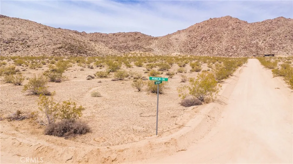 Hidden Paradise Drive Joshua Tree, CA 92252