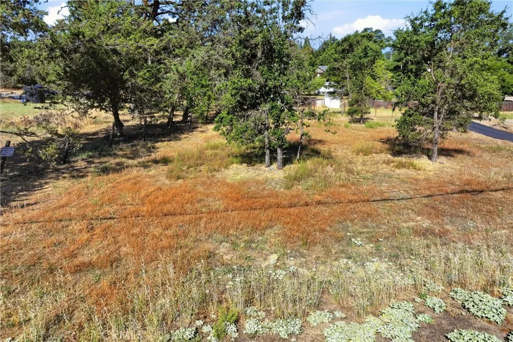 2441 Parallel Drive Lakeport, CA 95453