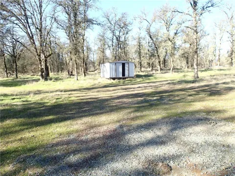 Stoney Oaks