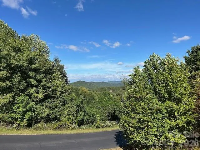 0 Tahawus Drive Bostic, NC 28018