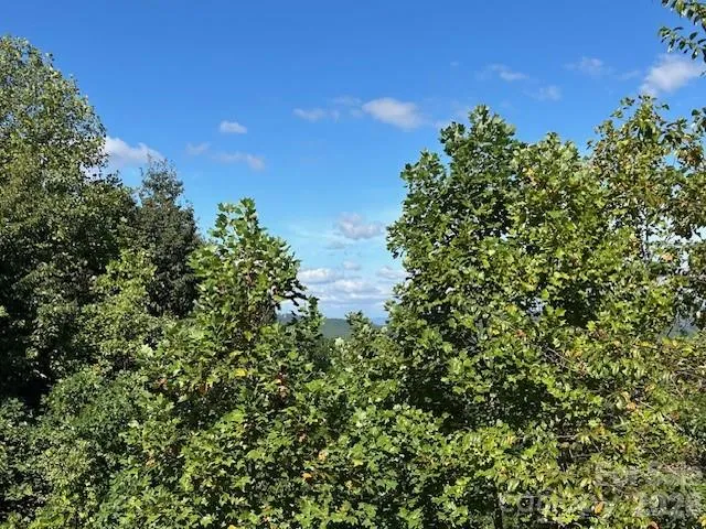 0 Tahawus Drive Bostic, NC 28018
