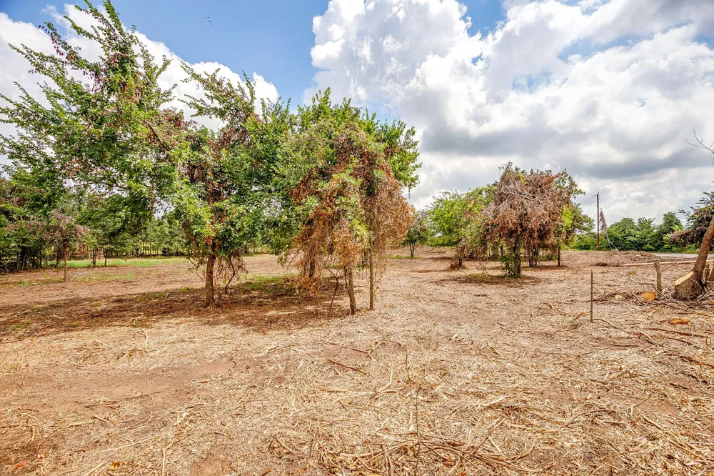890 Clover Drive Poolville, TX 76487
