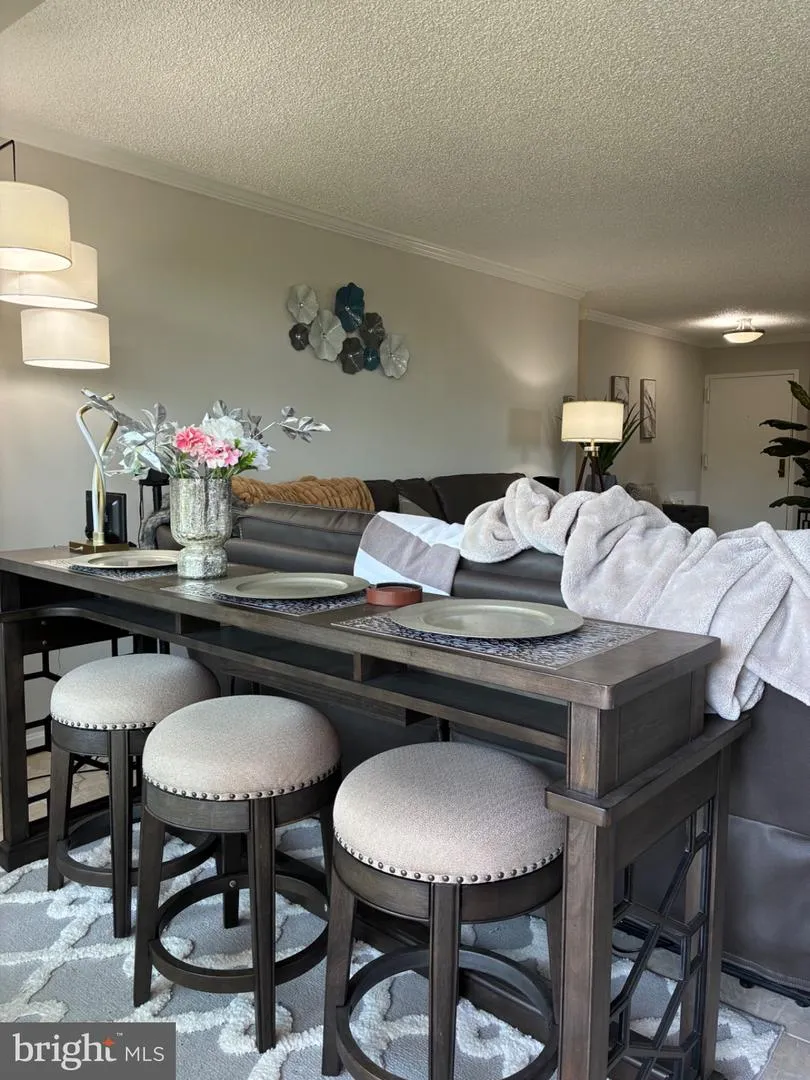1800 OLD MEADOW ROAD #101 Mclean, VA 22102
