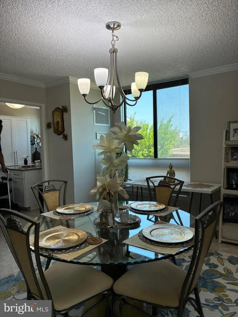 1800 OLD MEADOW ROAD #101 Mclean, VA 22102