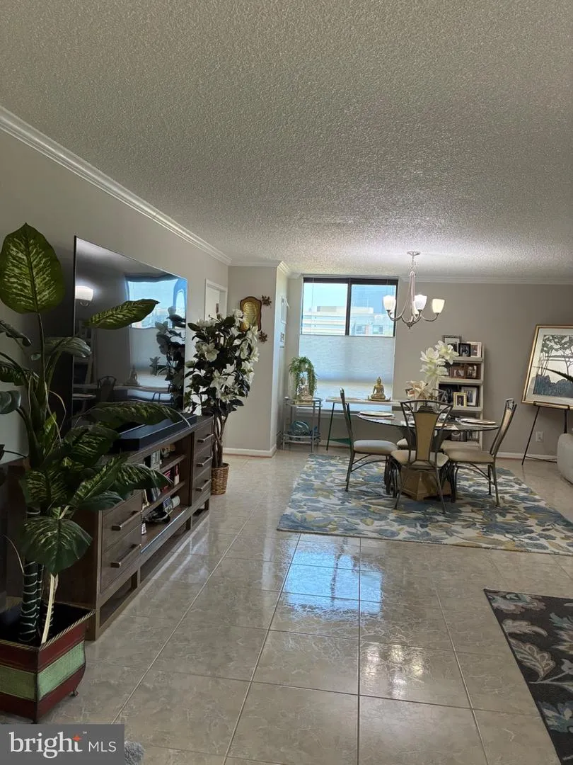 1800 OLD MEADOW ROAD #101 Mclean, VA 22102
