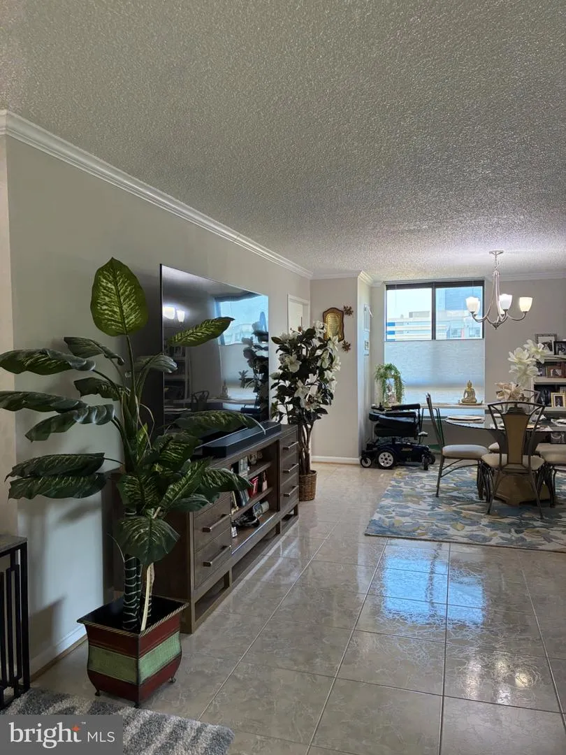 1800 OLD MEADOW ROAD #101 Mclean, VA 22102