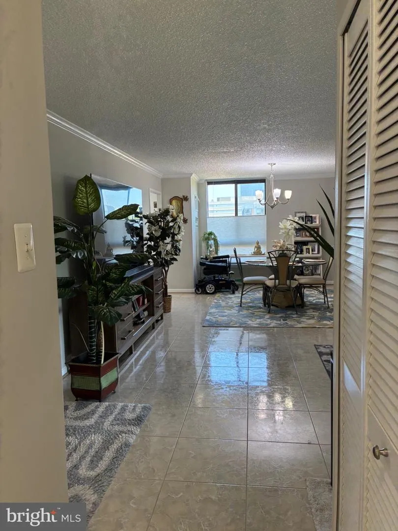 1800 OLD MEADOW ROAD #101 Mclean, VA 22102