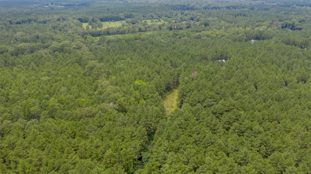 1 Highway 157 Benton, LA 71006