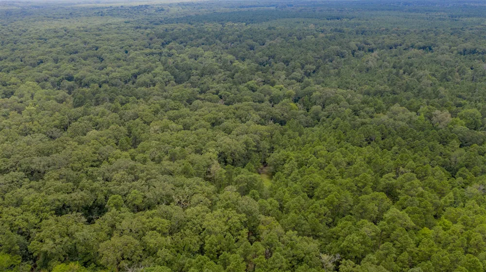 1 Highway 157 Benton, LA 71006