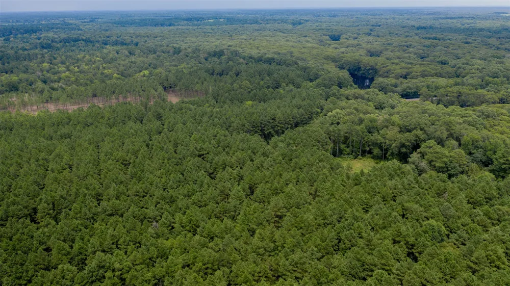 1 Highway 157 Benton, LA 71006