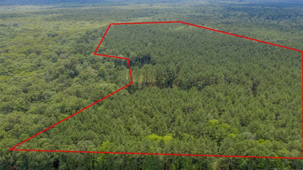 1 Highway 157 Benton, LA 71006