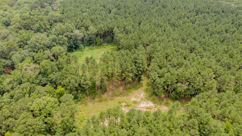 1 Highway 157 Benton, LA 71006