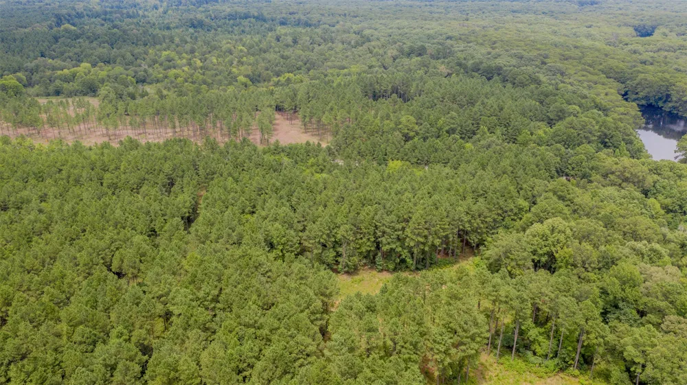 1 Highway 157 Benton, LA 71006