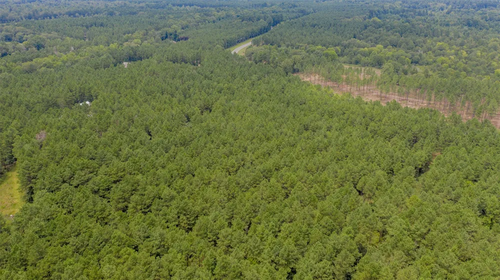 1 Highway 157 Benton, LA 71006