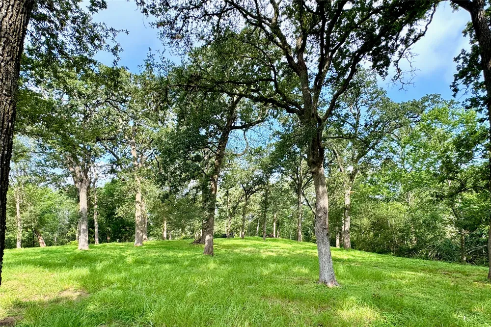 35471 Pontiac Drive Brookshire, TX 77423