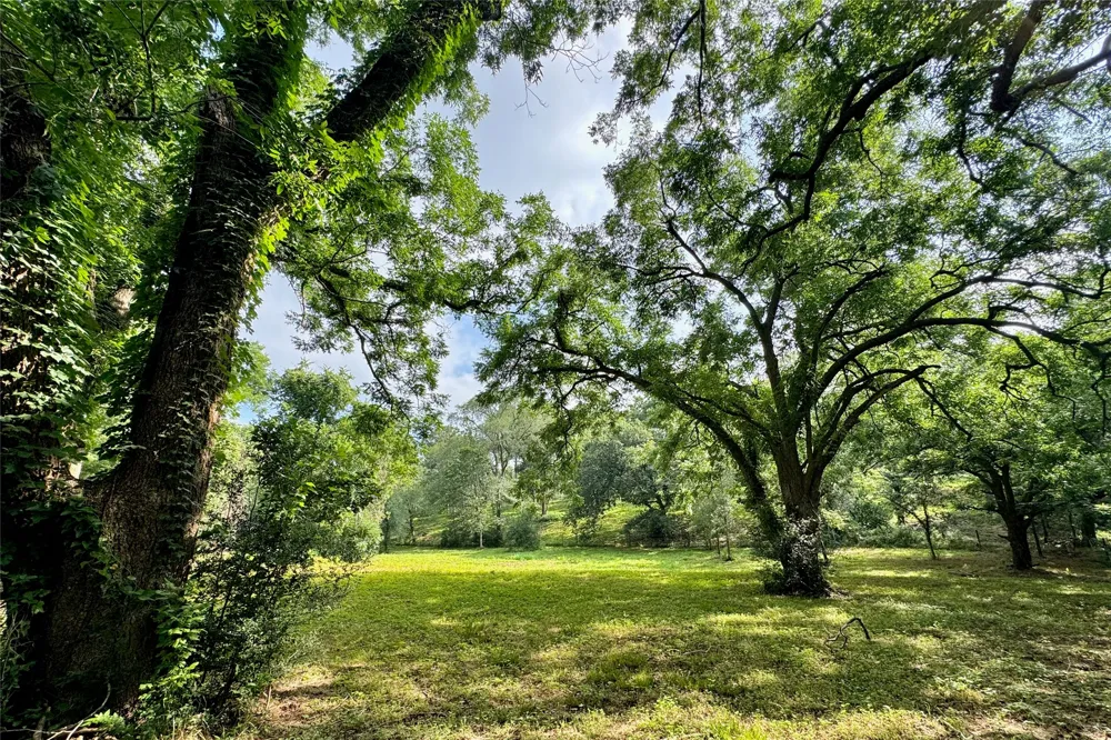 35471 Pontiac Drive Brookshire, TX 77423