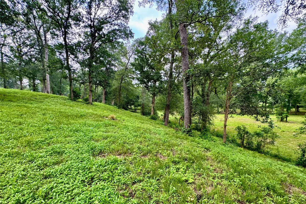 35471 Pontiac Drive Brookshire, TX 77423