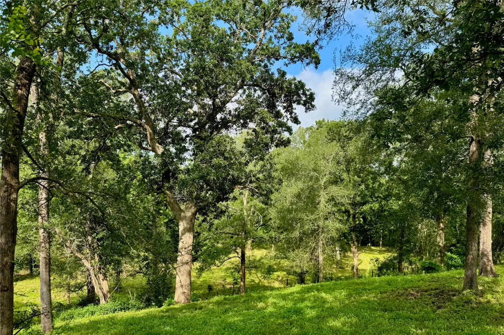35471 Pontiac Drive Brookshire, TX 77423