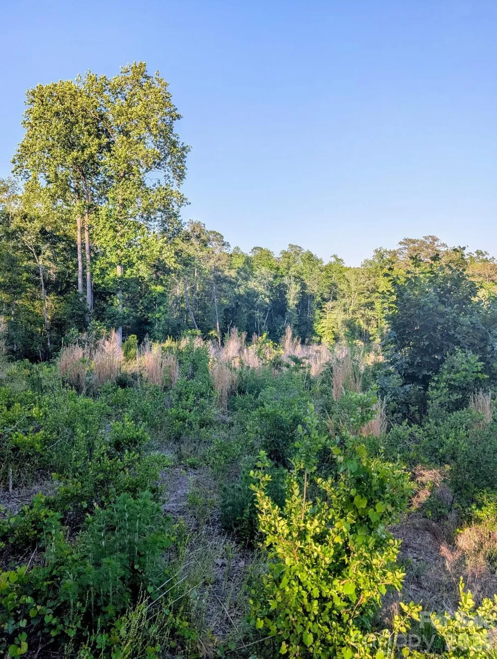 3328 Love Road Kershaw, SC 29067