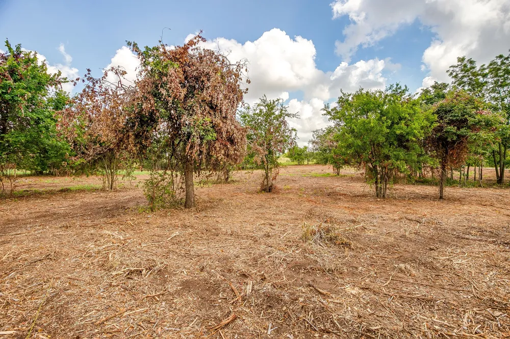 Clover Drive Poolville, TX 76487