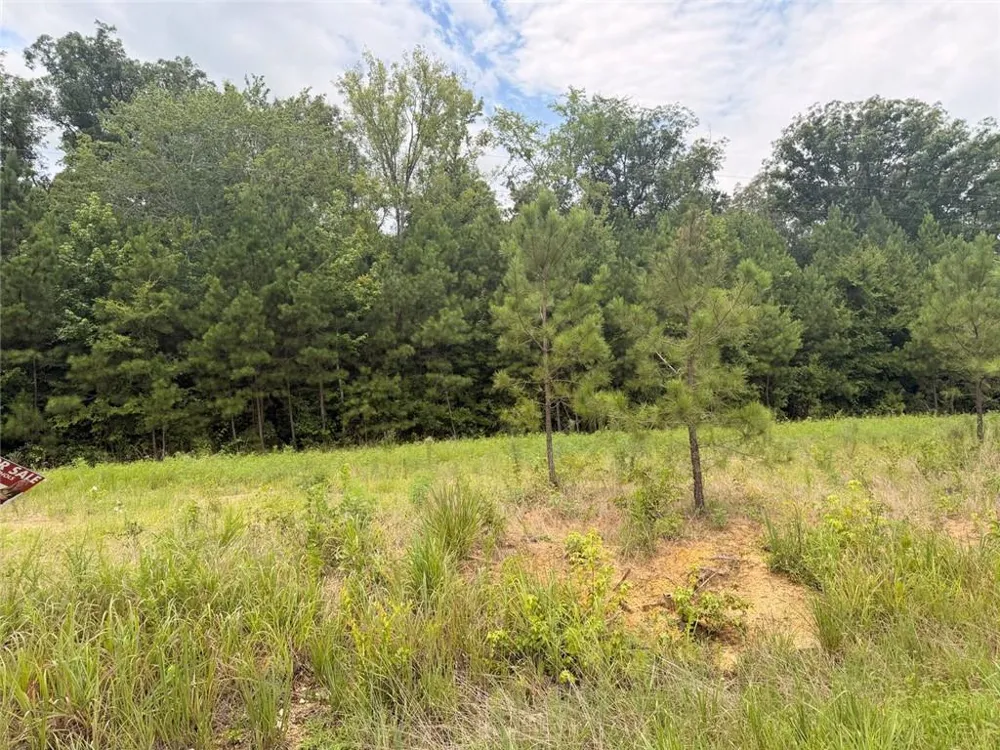 Lot 58 County Road 32 Piedmont, AL 36272