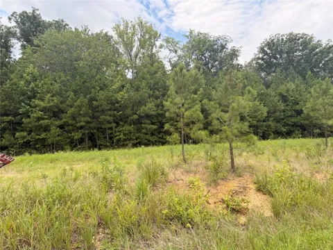 Lot 58 County Road 32