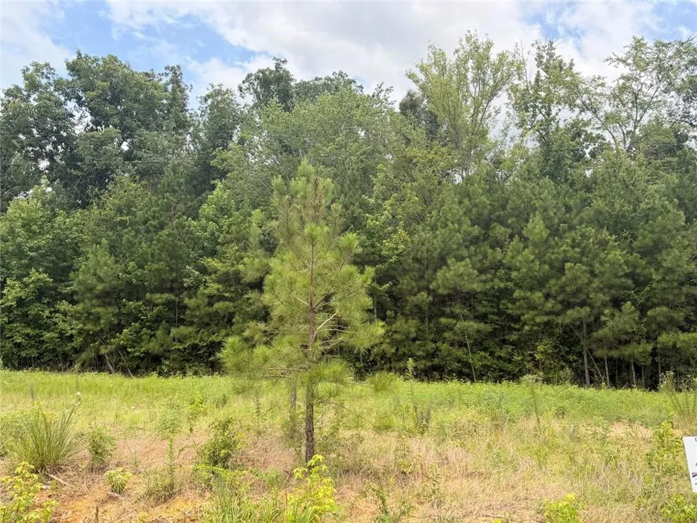 Lot 58 County Road 32 Piedmont, AL 36272