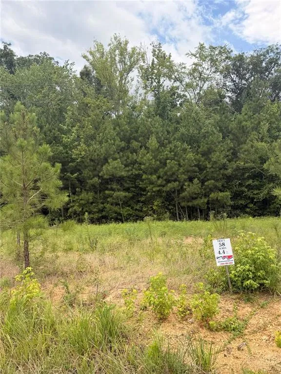 Lot 58 County Road 32 Piedmont, AL 36272