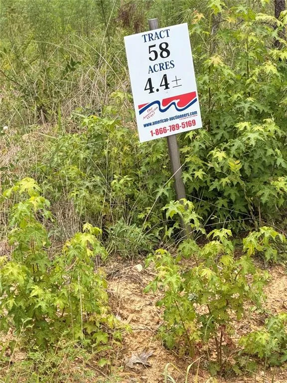 Lot 58 County Road 32 Piedmont, AL 36272