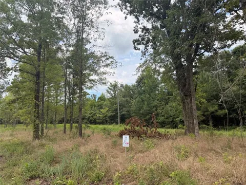 Lot 59 County Road 32