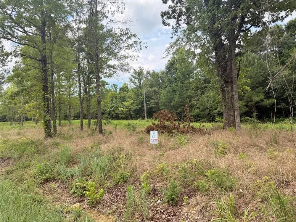 Lot 59 County Road 32 Piedmont, AL 36272
