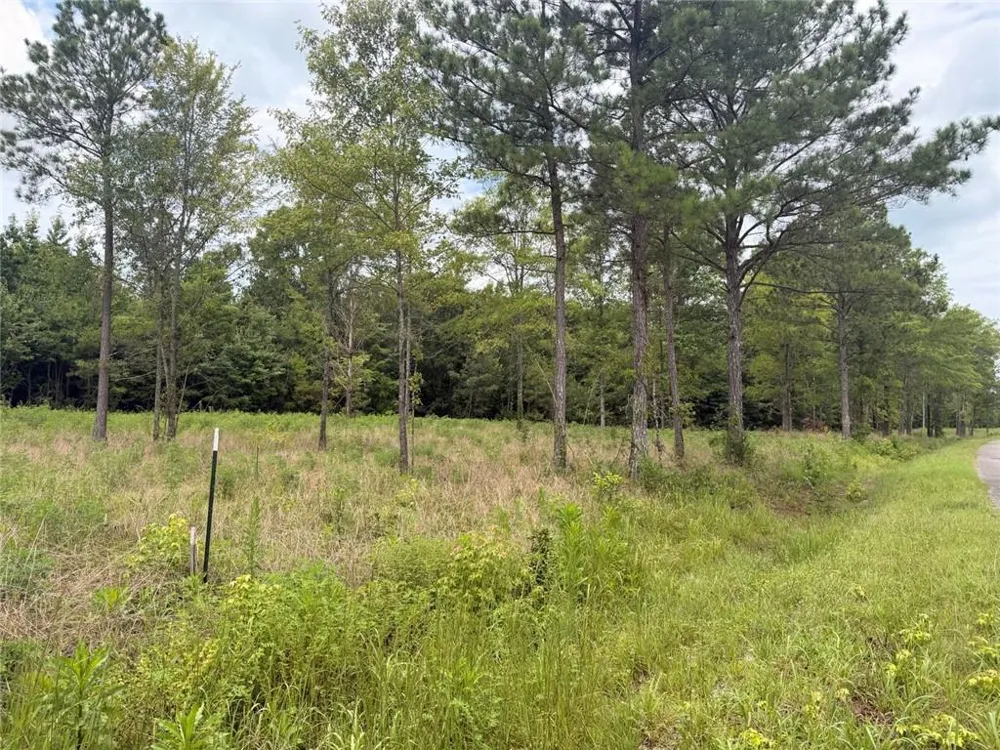 Lot 59 County Road 32 Piedmont, AL 36272