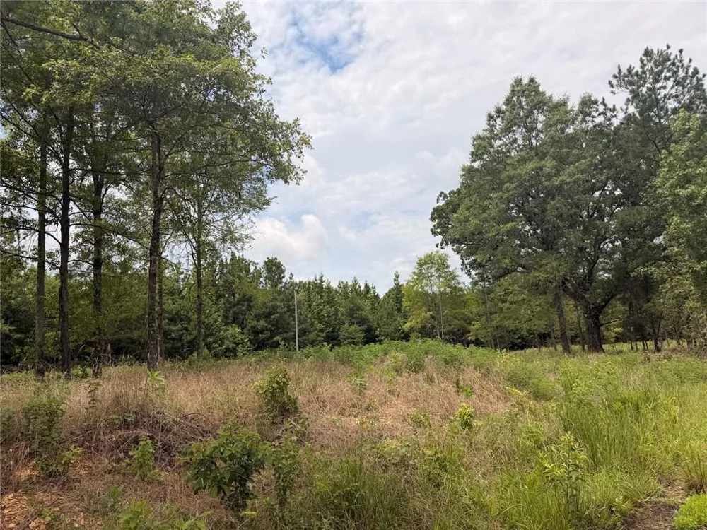 Lot 60 County Road 32 Piedmont, AL 36272