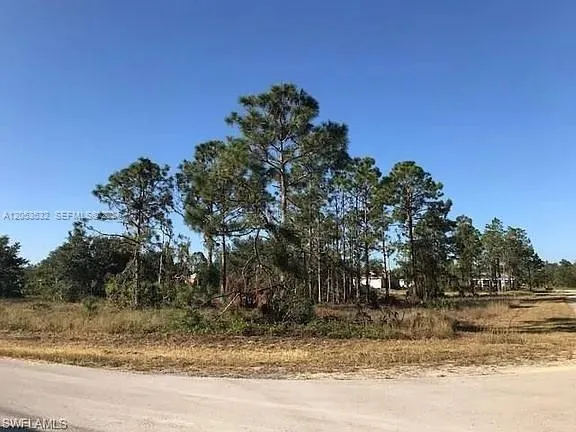 726 S Gaylord Avenue Lehigh Acres, FL 33974