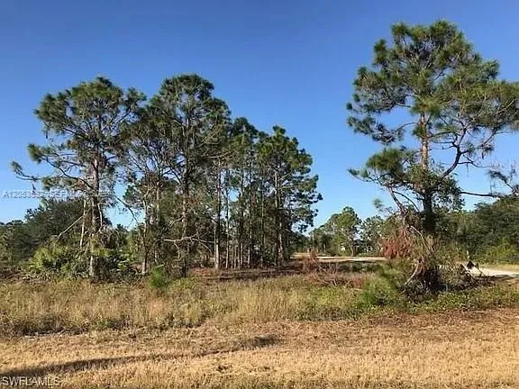 726 S Gaylord Avenue Lehigh Acres, FL 33974