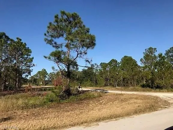726 S Gaylord Avenue Lehigh Acres, FL 33974