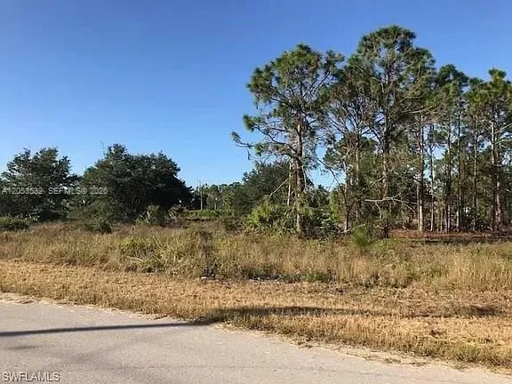 726 S Gaylord Avenue Lehigh Acres, FL 33974
