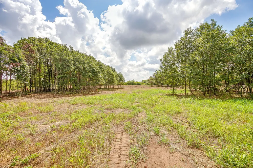 Clover Drive Poolville, TX 76487