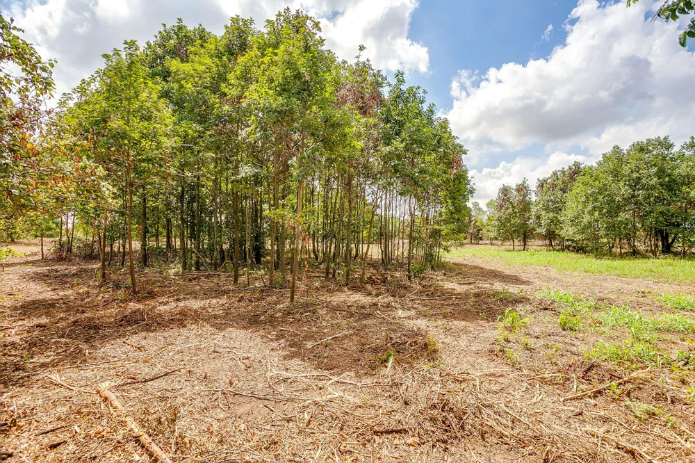Clover Drive Poolville, TX 76487