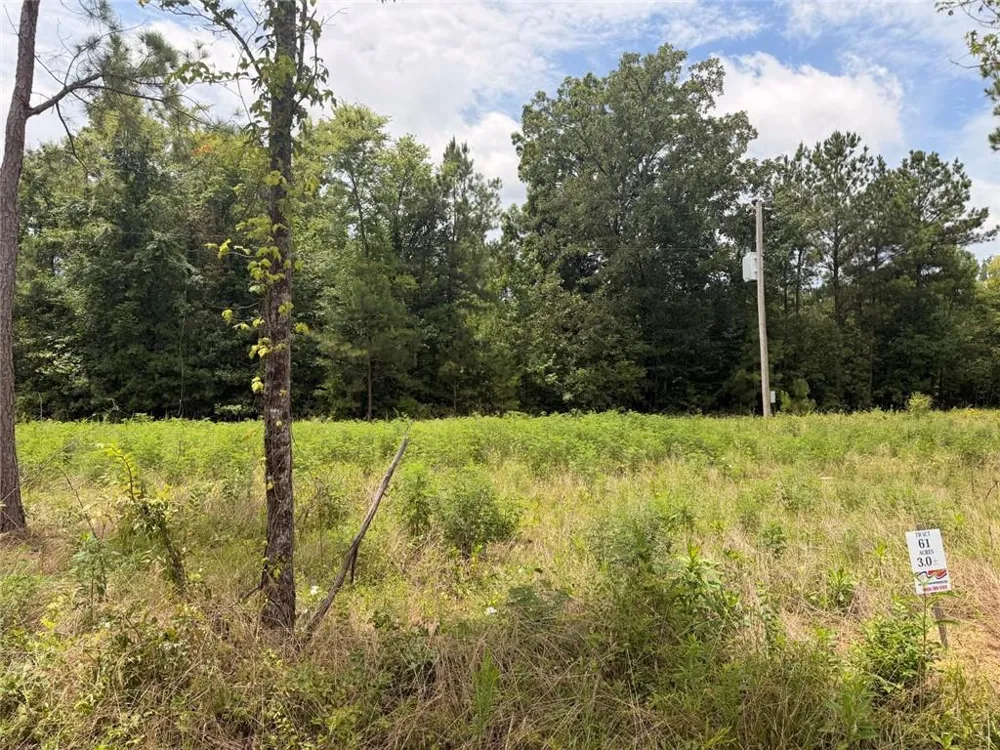 Lot 61 County Road 32 Piedmont, AL 36272