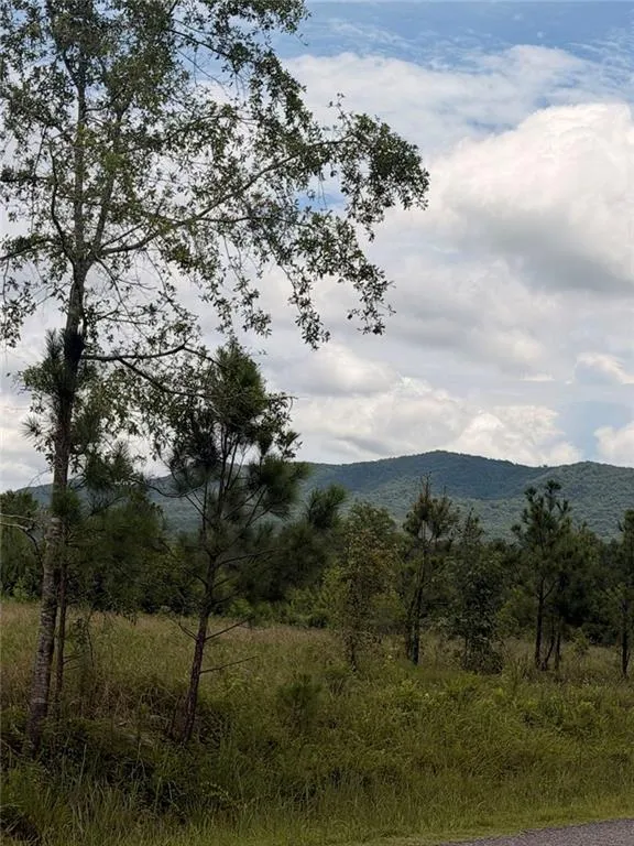 Lot 61 County Road 32 Piedmont, AL 36272