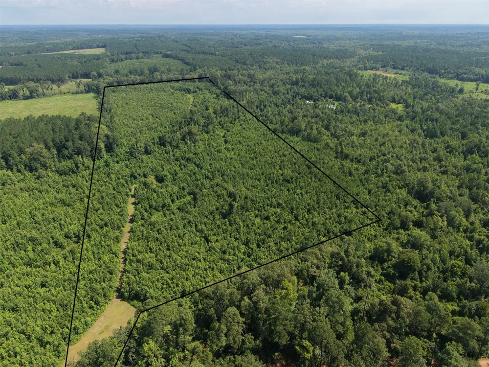County road 2339 Marietta, TX 75566
