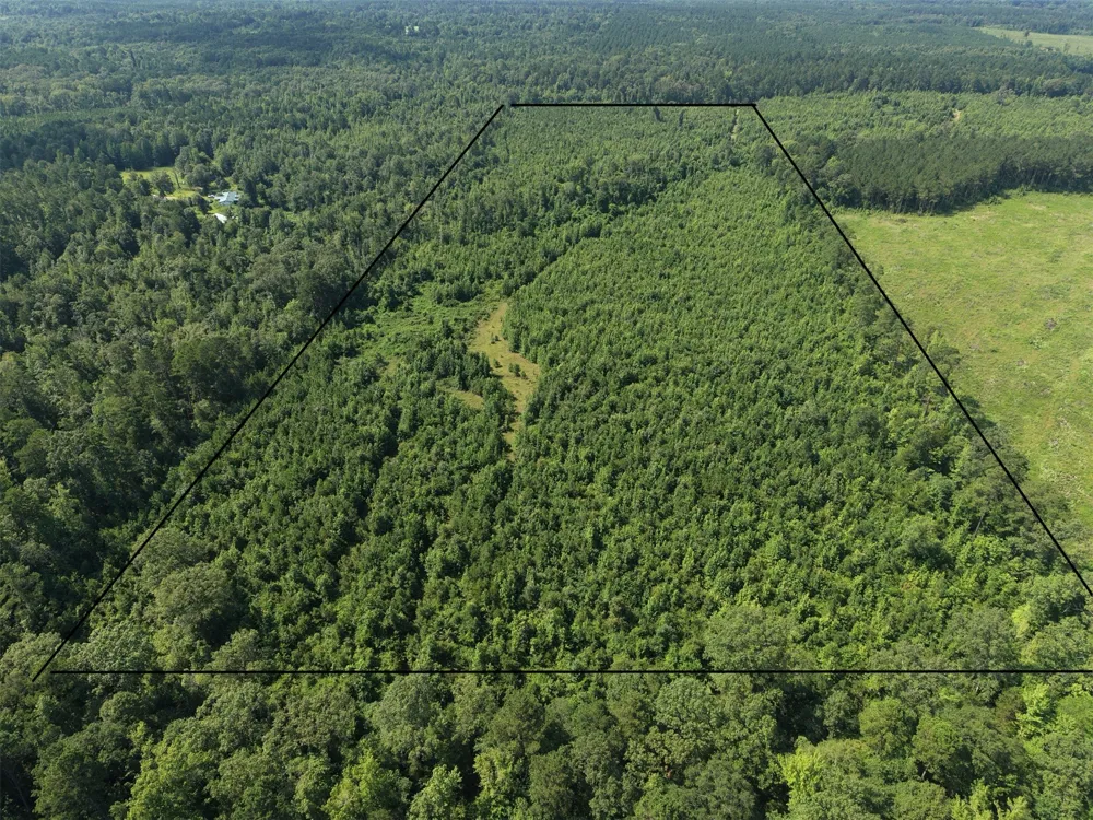 County road 2339 Marietta, TX 75566