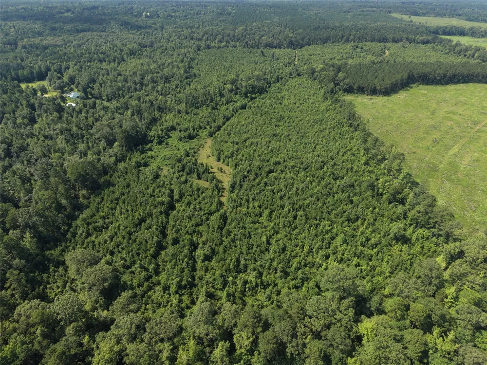 County road 2339 Marietta, TX 75566