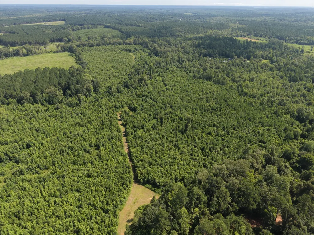 County road 2339 Marietta, TX 75566
